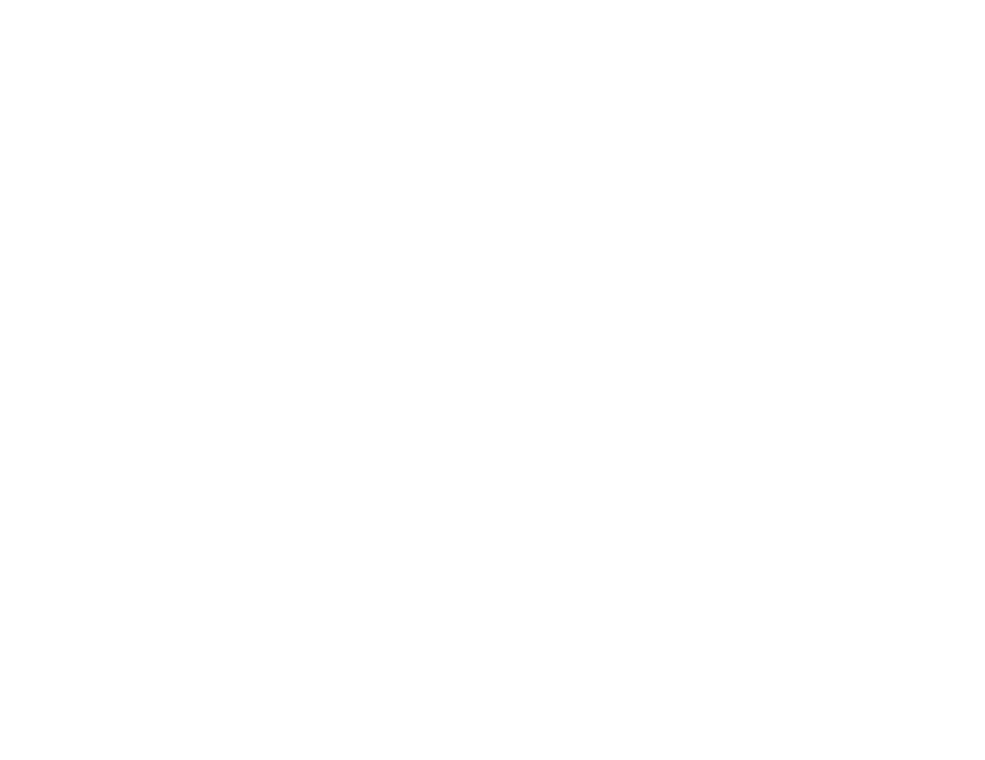 watermark 4