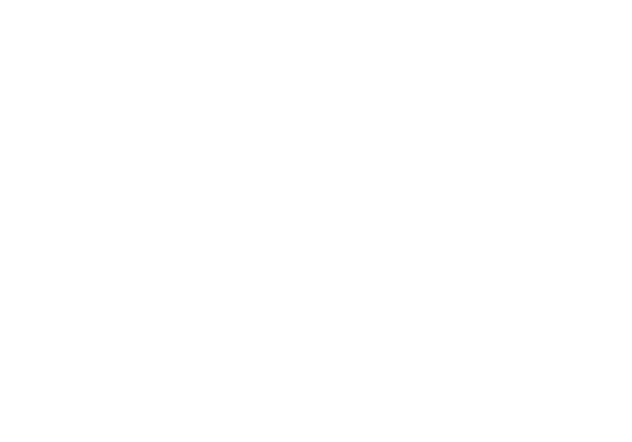 watermark 1