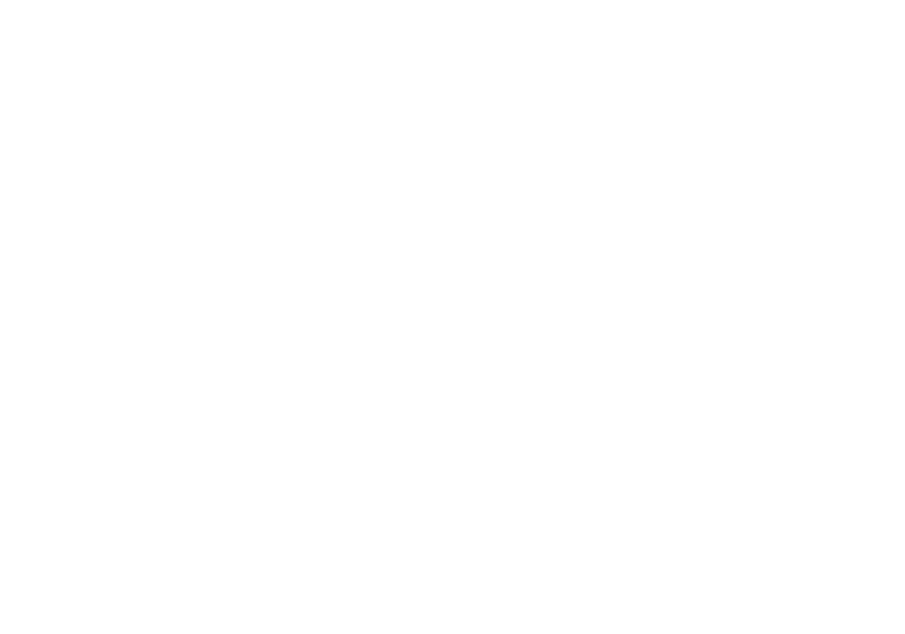 watermark 4
