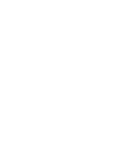 watermark 4