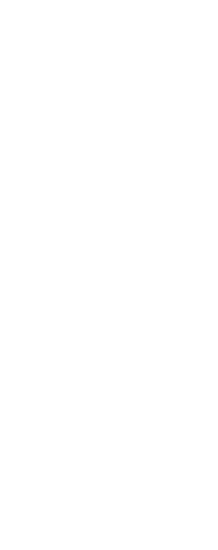 watermark 4